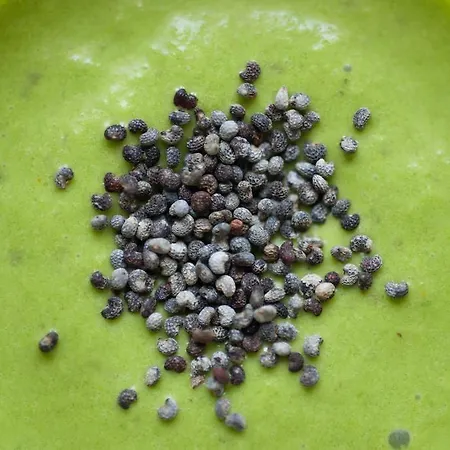 Du Moulin D'eaucourt *