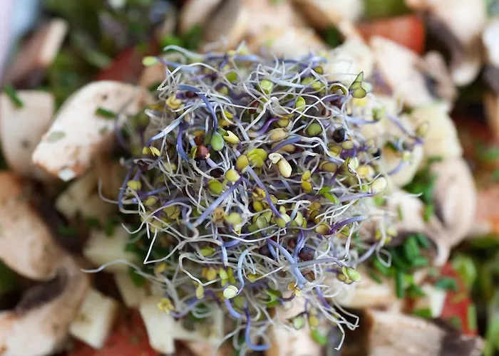 Bed & Breakfast Du Moulin D'eaucourt *