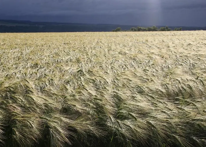 Du Moulin D'eaucourt Eaucourt-sur-Somme