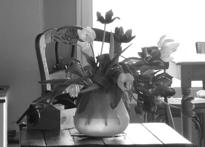 Du Moulin D'eaucourt